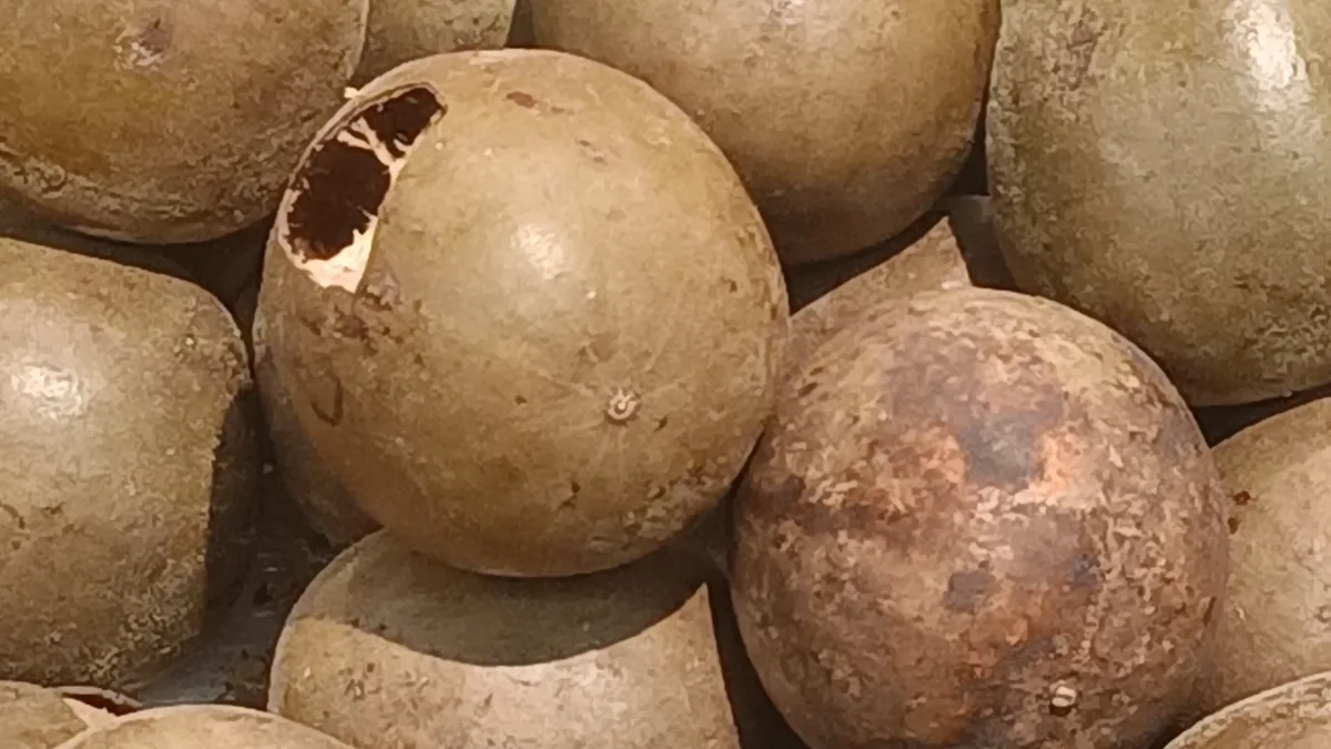 Monk Fruit Extract Supplier Guide: How It's Made & What to Verify